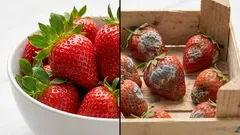 Frutta e verdura: l’errore che fai dopo la spesa e che le fa durare meno